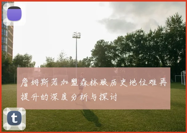 詹姆斯若加盟森林狼历史地位难再提升的深度分析与探讨